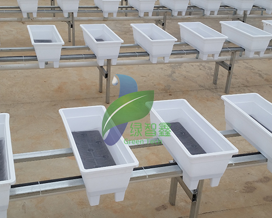 無土栽培大棚如何搭建才能順應現代農業(yè)的發(fā)展